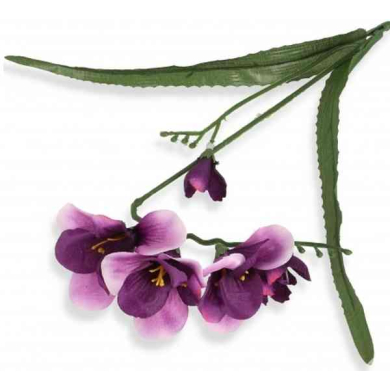 Frezja gałązka podwójna Purple