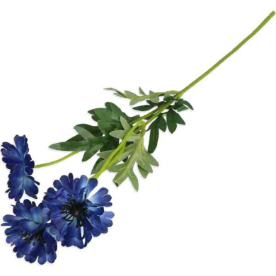 Chaber gałązka 3 kwiaty Blue