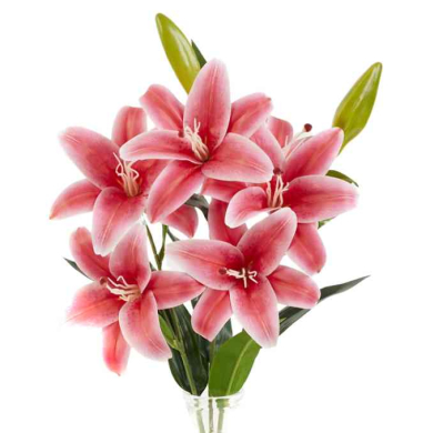 Lilia – bukiet dekoracyjny 60 cm Pink