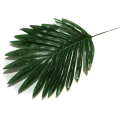 Liść palmy PALMA mały Dk.Green