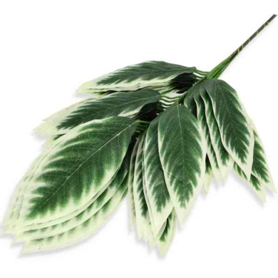 Liść KROTON Gałązka Green/White