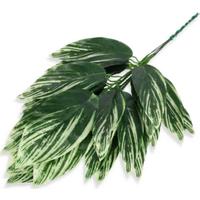 Liść KROTON Gałązka CRUSH GREEN / WHITE