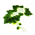 Liść WINOGRONO Gałązka DK.GREEN