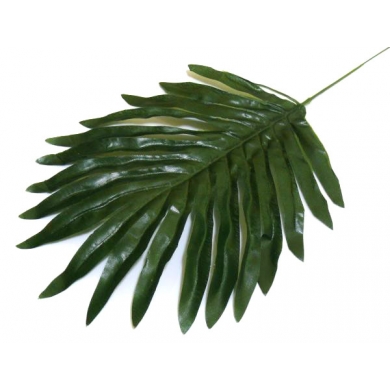 Liść Palmy mały PALMA LIŚCIE green