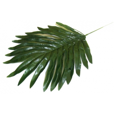 Liść Palmy mały PALMA LIŚCIE green