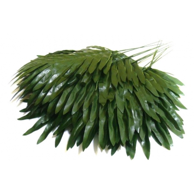 Liść Palmy mały PALMA LIŚCIE green