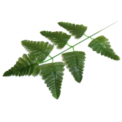 PAPROĆ Liść paproci dk.green LIŚCIE
