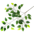 Liść FIKUS green/marmurek LIŚCIE