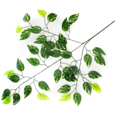 Liść FIKUS green/marmurek LIŚCIE
