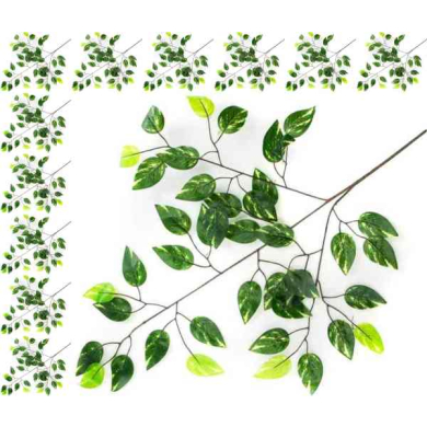 Liść FIKUS green/marmurek LIŚCIE