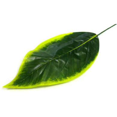 Liść BANAN green/yellow