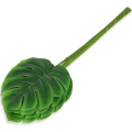 Liść Philo LIŚCIE filodendron MONSTERA latex green