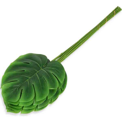Liść Philo LIŚCIE filodendron MONSTERA latex green