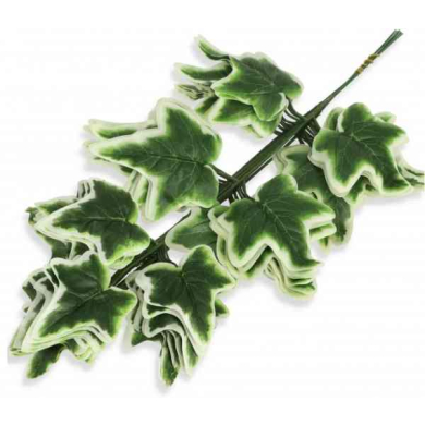 Liść BLUSZCZ Gałązka LIŚCIE green/white