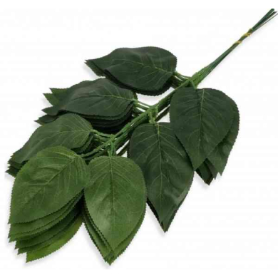 Liść MAGNOLIA Gałązka LIŚCIE dk.green