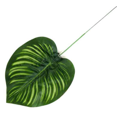 Liść HOSTA green LIŚCIE