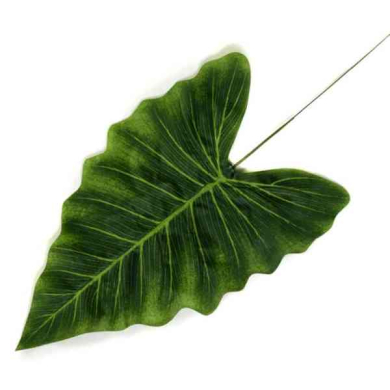 Liść ANTURIUM green LIŚCIE