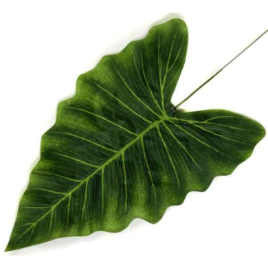 Liść ANTURIUM green LIŚCIE