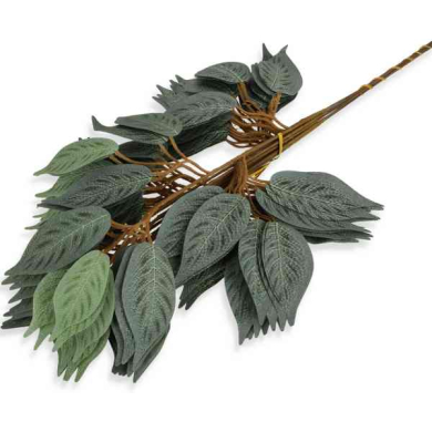 Liść FIKUS Gałązka SHADOW.GREEN Liść FIKUS Gałązka SHADOW.GREEN