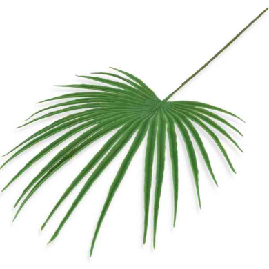 Liść palmy – PALMA dekoracyjna gałązka 50 cm