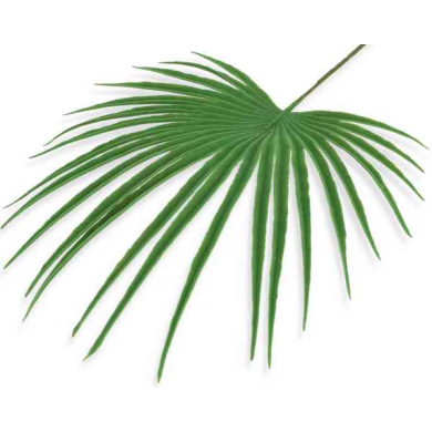 Liść palmy – PALMA dekoracyjna gałązka 50 cm