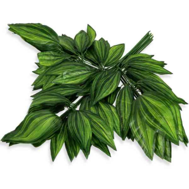 Liść MANGO green/white LIŚCIE