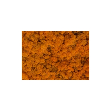 MECH Chrobotek Reniferowy (11.Orange) 5 kg