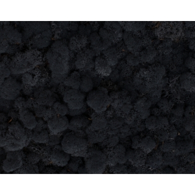 MECH Chrobotek Reniferowy (12.Black) 2,5 kg